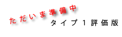 Type1 Evaluation